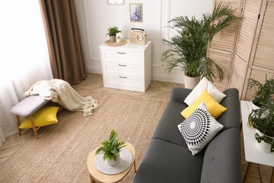 Stylish living room interior with comfortable sofa, above view Photo of Stylish living room interior with comfortable sofa, above view