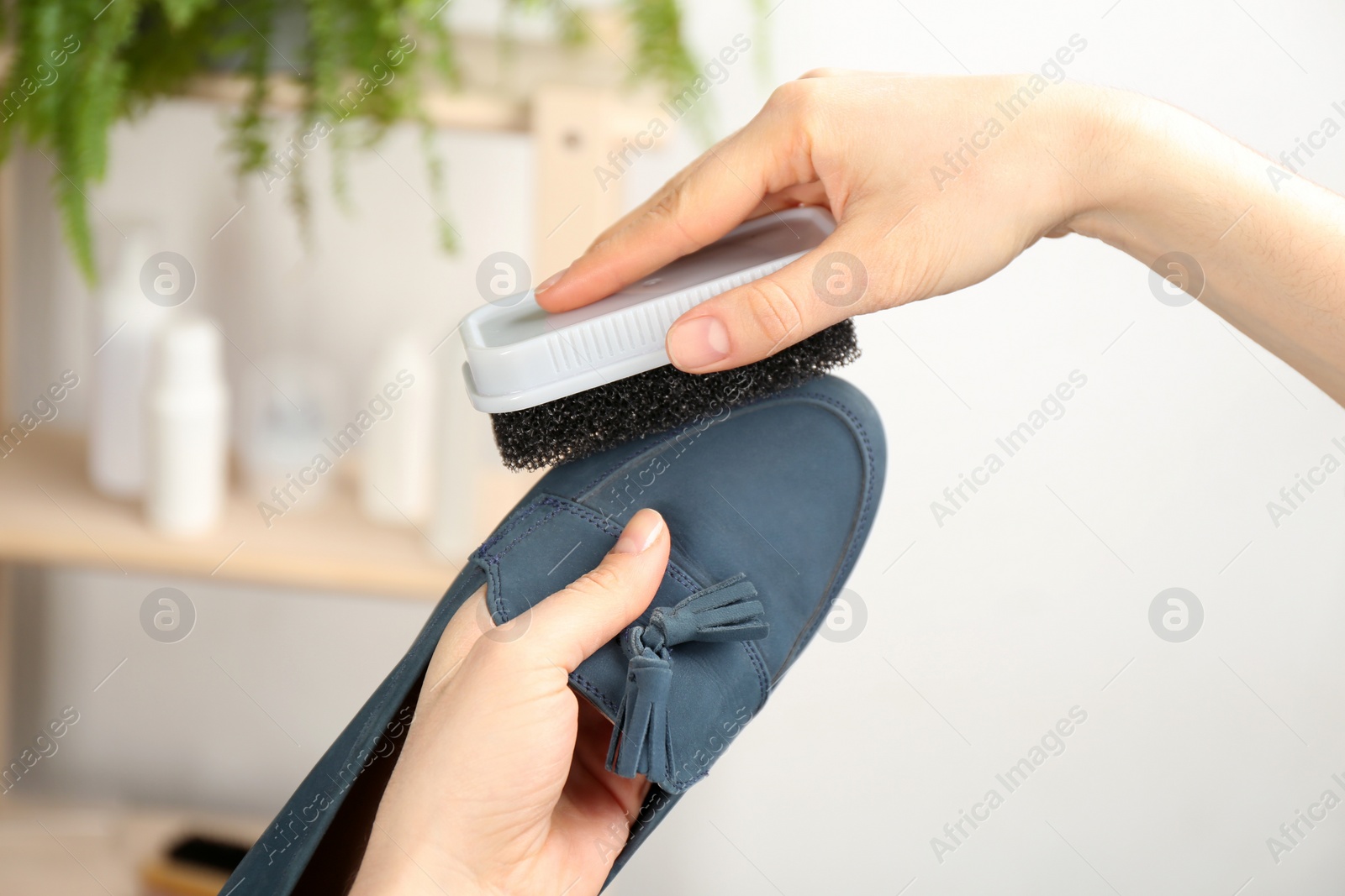 Woman taking care of stylish shoe indoors, closeup Photo of Woman taking care of stylish shoe indoors, closeup