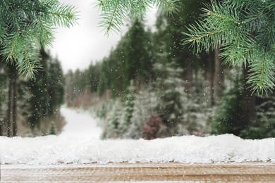 Image of Wooden board with snow and blurred forest on background. Christmas time