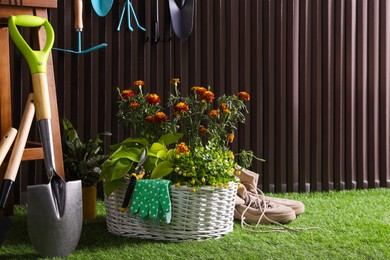 Beautiful plants, gardening tools and accessories on green grass near wood slat wall. Space for text Photo of Beautiful plants, gardening tools and accessories on green grass near wood slat wall. Space for text