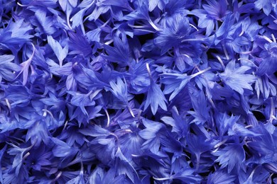 Beautiful blue cornflowers petals as background, top view Photo of Beautiful blue cornflowers petals as background, top view