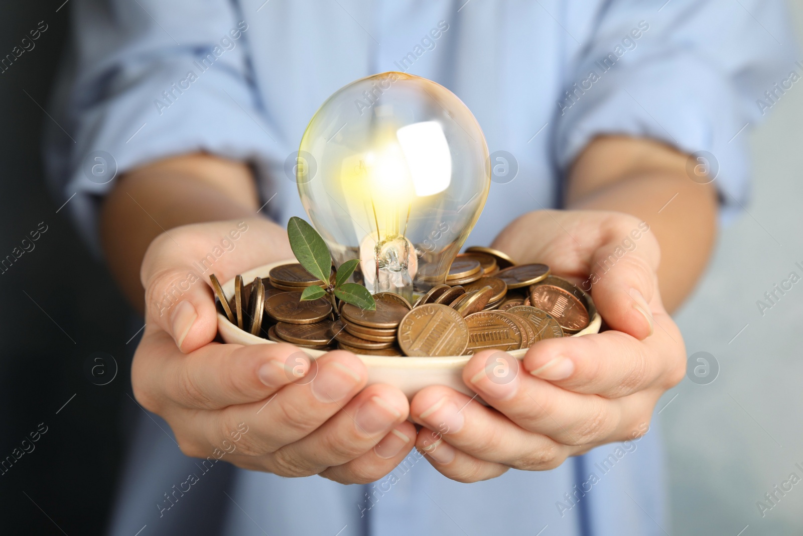 Woman with coins, light bulb and green plant, closeup. Power saving Photo of Woman with coins, light bulb and green plant, closeup. Power saving