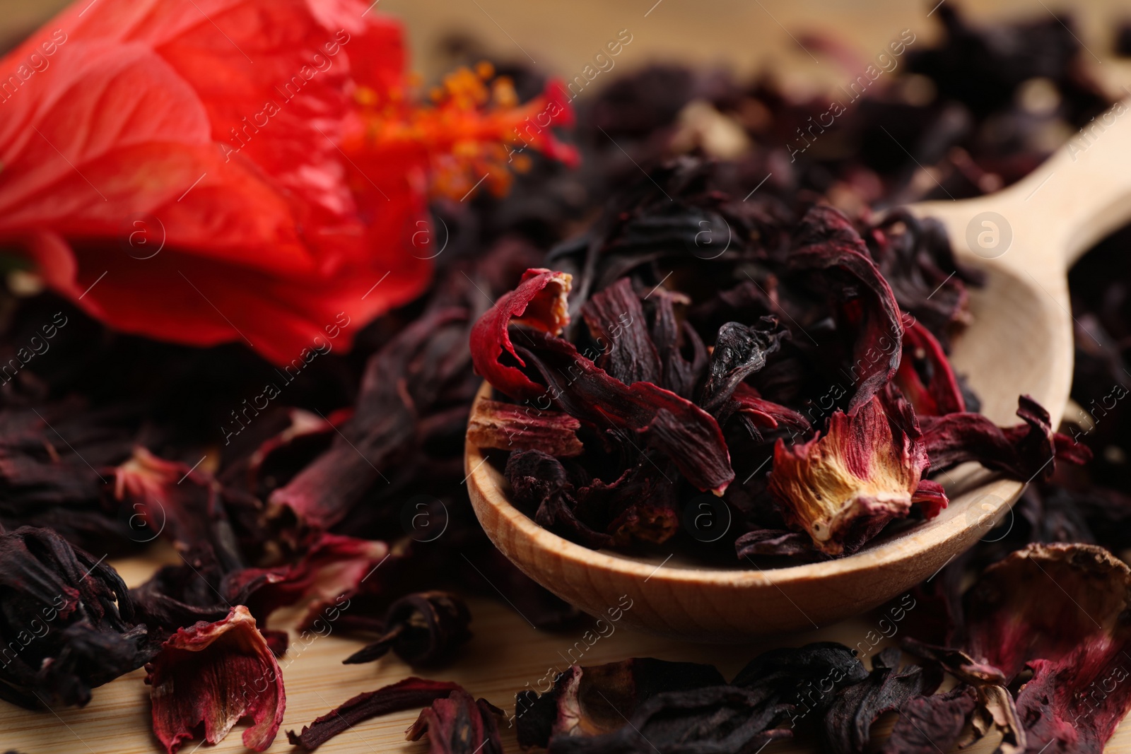 Wooden spoon with dry hibiscus tea on table, closeup Photo of Wooden spoon with dry hibiscus tea on table, closeup