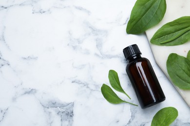 Bottle of broadleaf plantain extract and leaves on white marble table, flat lay. Space for text Photo of Bottle of broadleaf plantain extract and leaves on white marble table, flat lay. Space for text