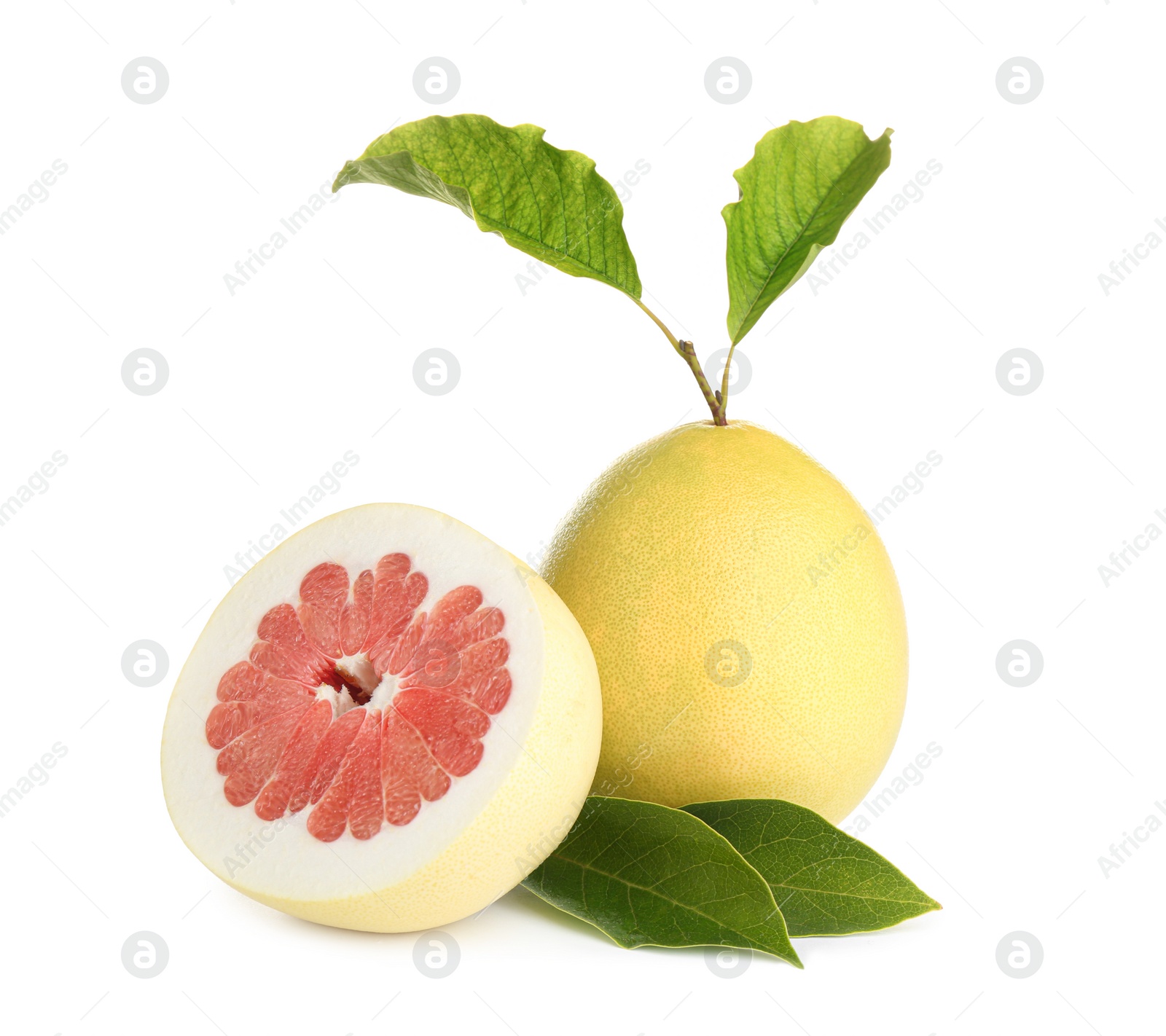 Photo of Fresh cut and whole pomelo fruits isolated on white