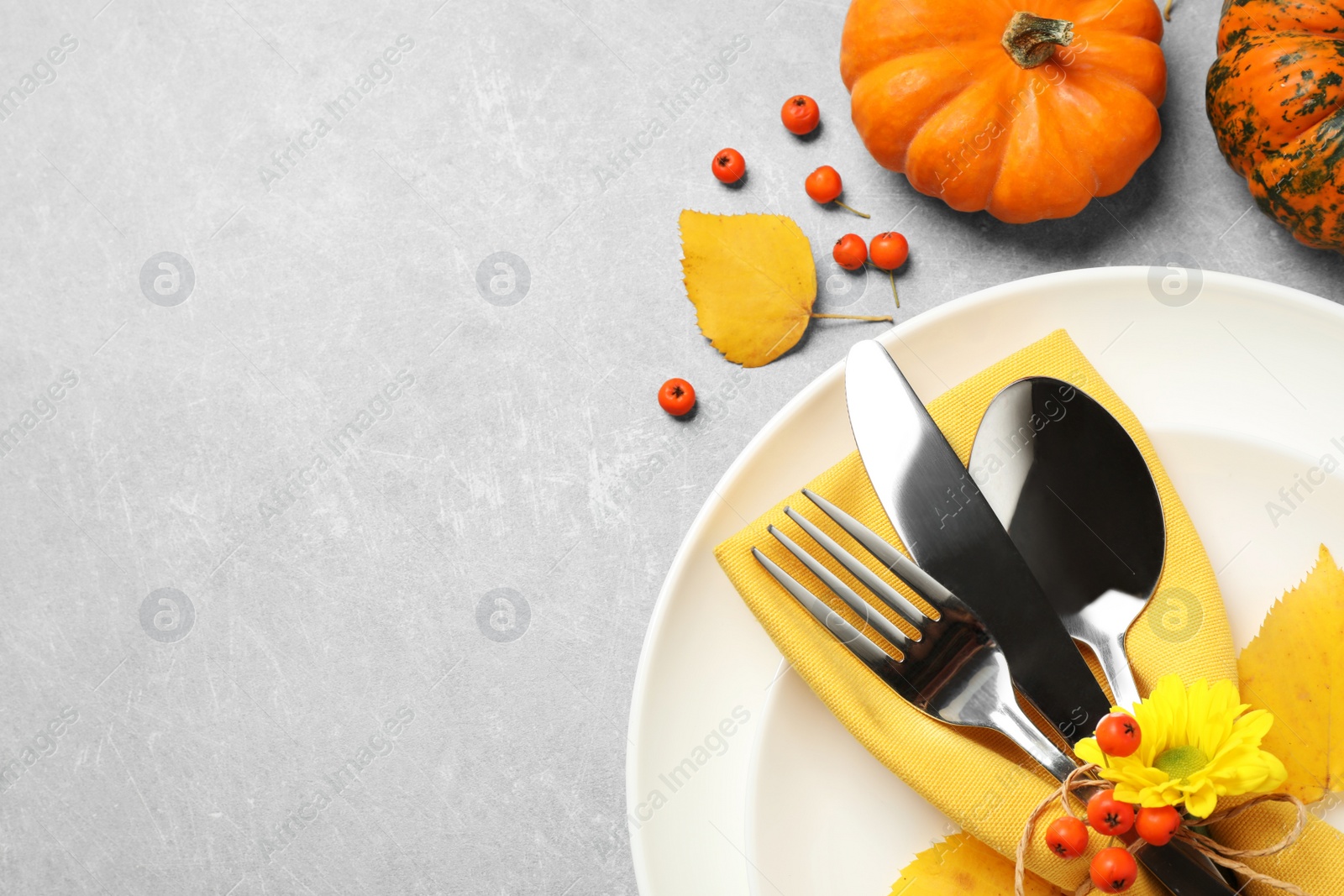 Seasonal table setting with pumpkins on light grey background, flat lay. Thanksgiving Day Photo of Seasonal table setting with pumpkins on light grey background, flat lay. Thanksgiving Day