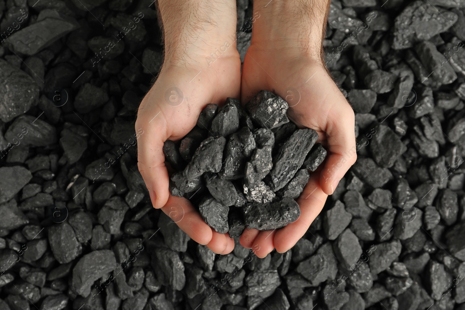 Man holding coal in hands over pile, top view Photo of Man holding coal in hands over pile, top view