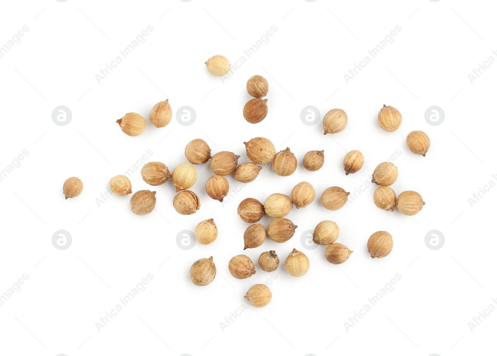Scattered dried coriander seeds on white background, top view Photo of Scattered dried coriander seeds on white background, top view