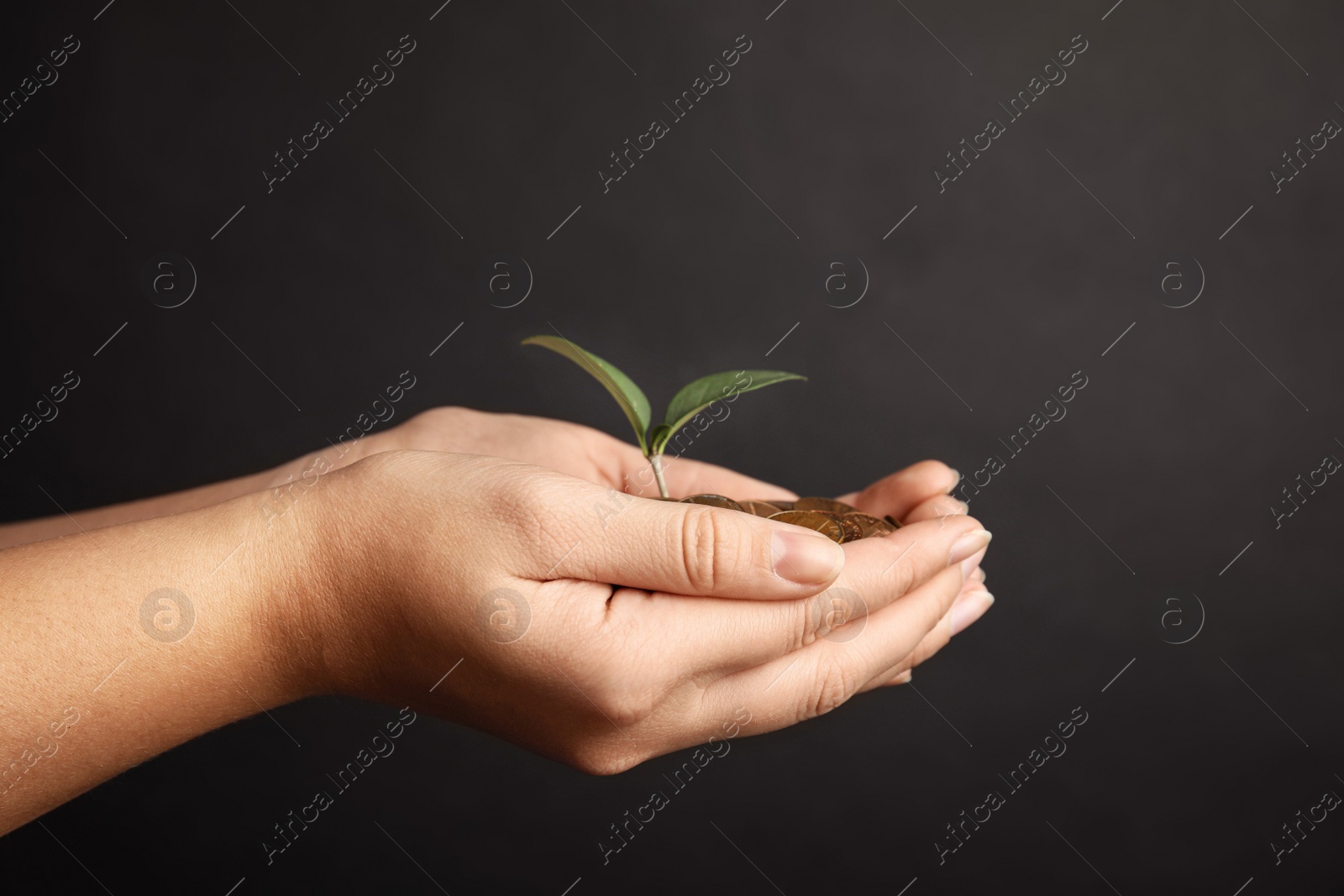 Woman with coins and green plant on black background, closeup. Money savings Photo of Woman with coins and green plant on black background, closeup. Money savings