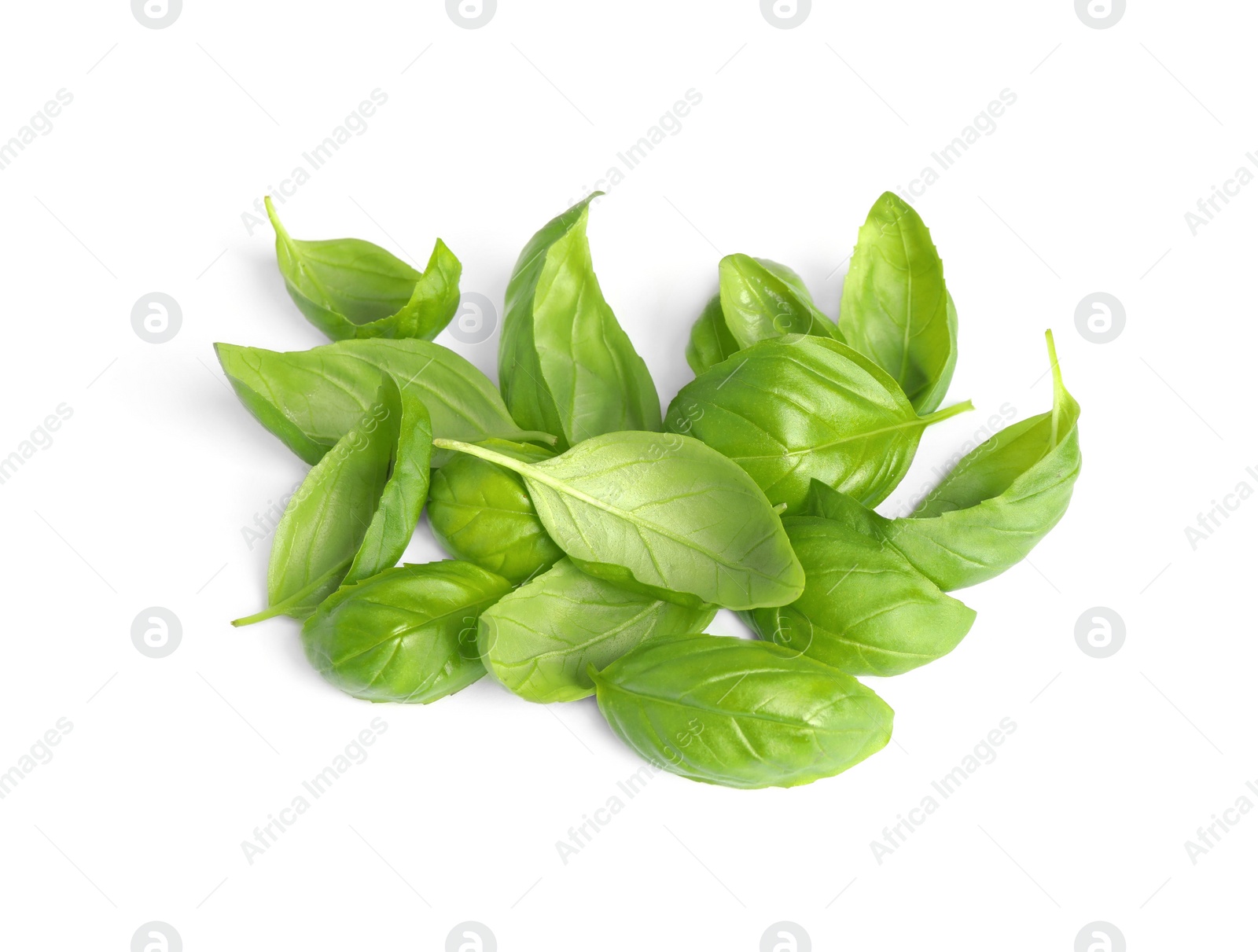 Pile of fresh basil leaves isolated on white Photo of Pile of fresh basil leaves isolated on white
