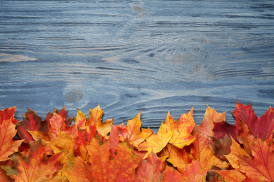 Photo of Beautiful autumn leaves and space for text on blue wooden background, top view