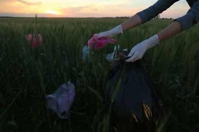 Woman collecting garbage in wheat field, closeup Photo of Woman collecting garbage in wheat field, closeup
