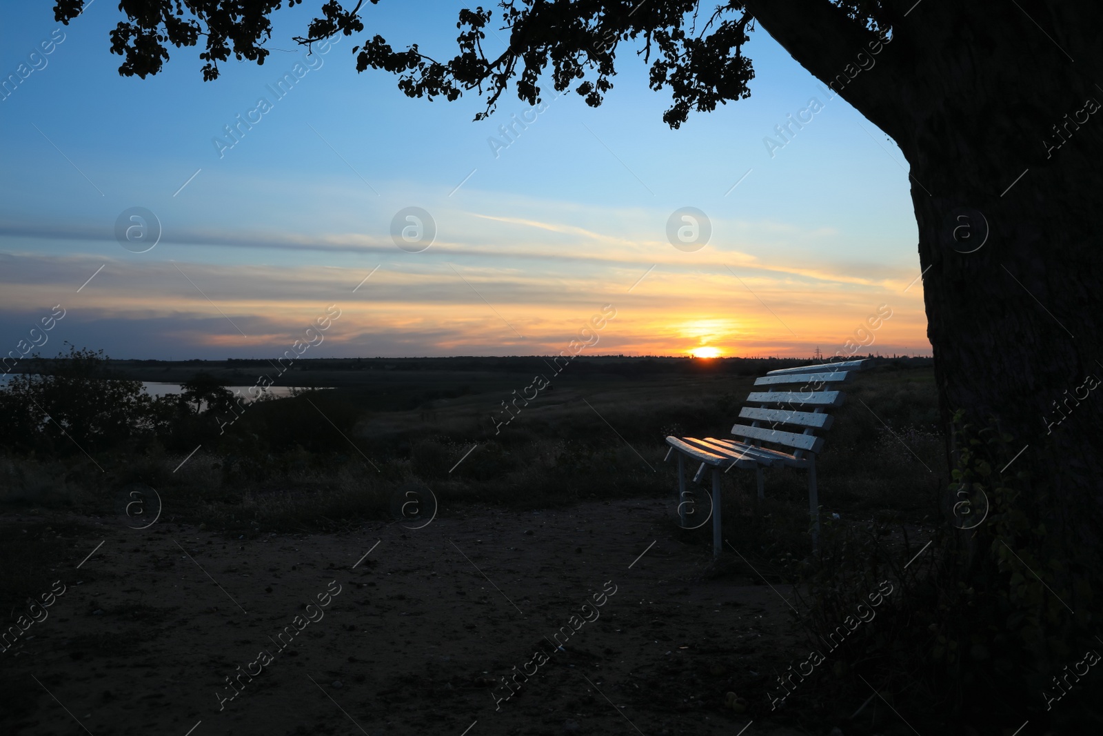 Bench under tree in field at sunrise. Early morning landscape Photo of Bench under tree in field at sunrise. Early morning landscape