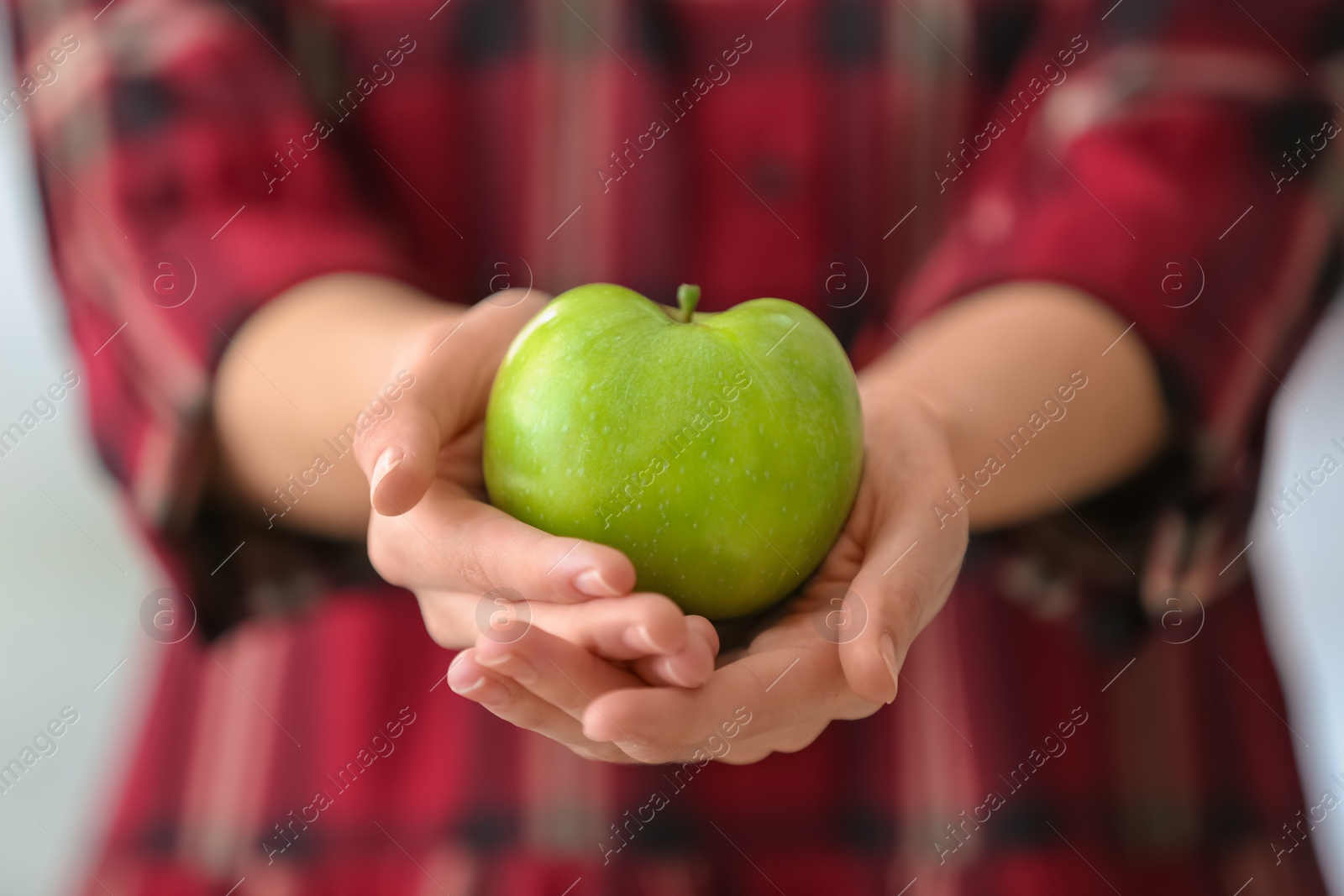 Woman holding ripe green apple, closeup Photo of Woman holding ripe green apple, closeup