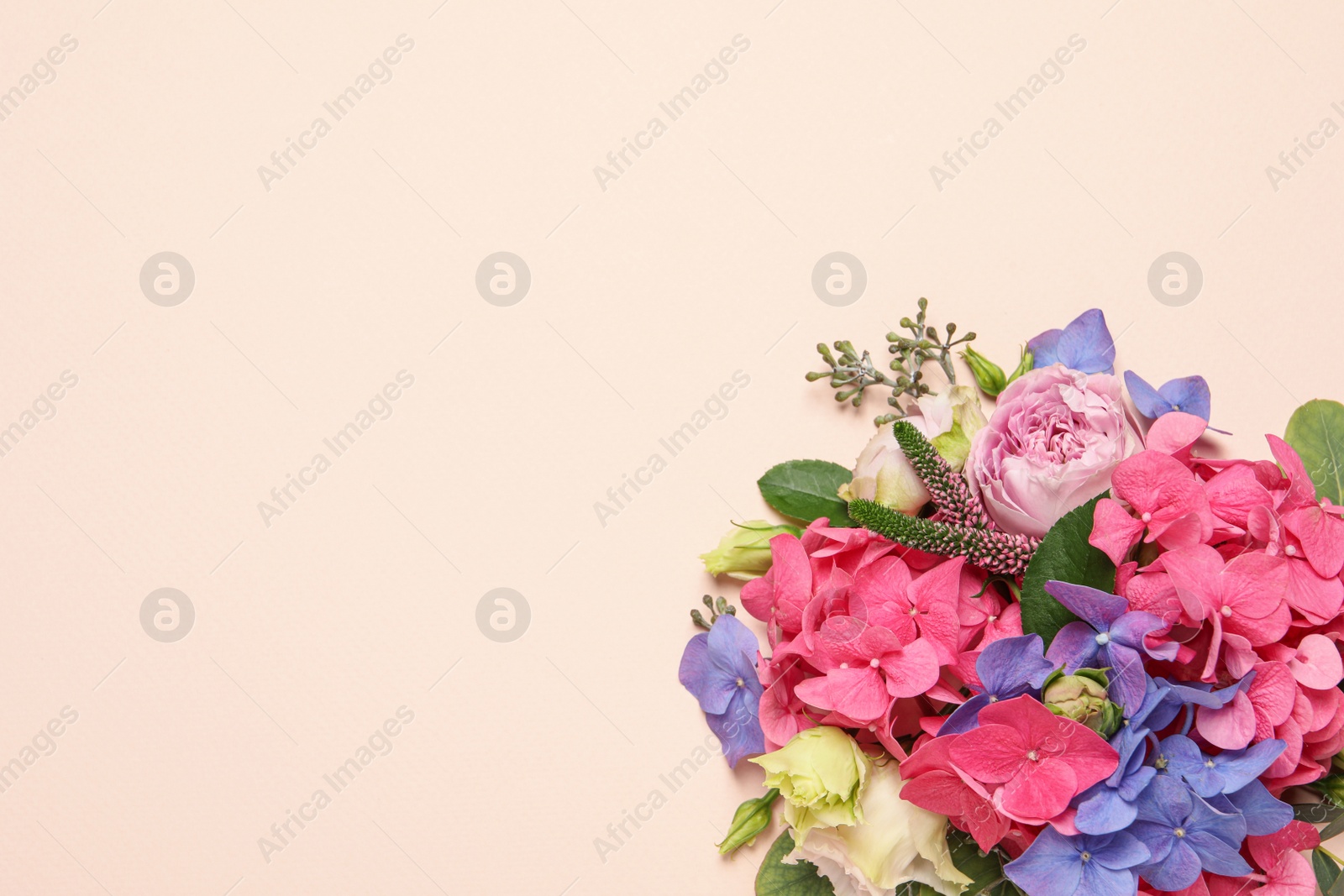 Beautiful composition with hortensia flowers on beige background, flat lay. Space for text Photo of Beautiful composition with hortensia flowers on beige background, flat lay. Space for text