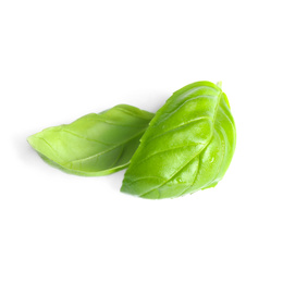 Photo of Fresh green basil leaves isolated on white