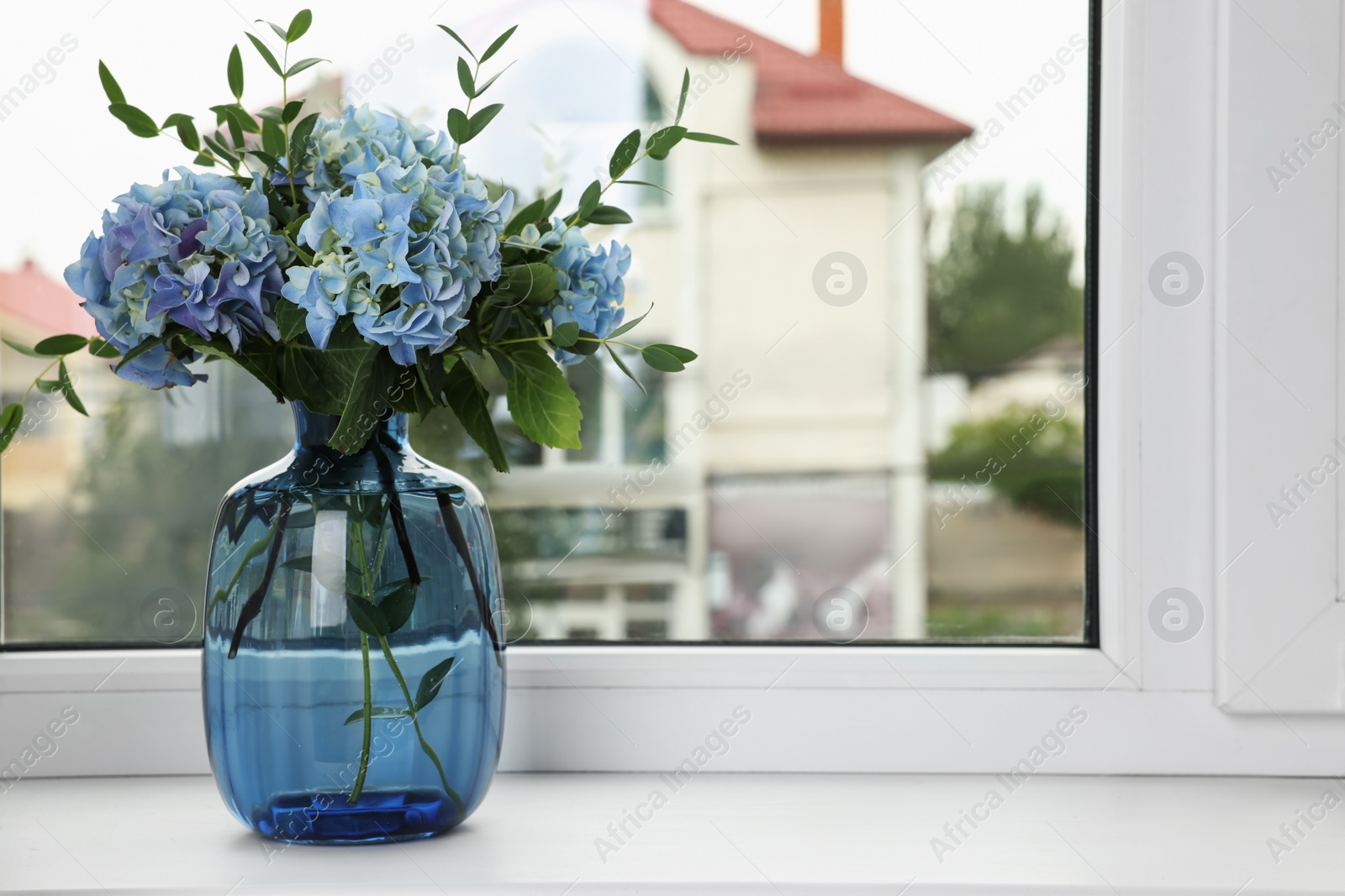 Beautiful blue hortensia flowers in vase on window sill indoors. Space for text Photo of Beautiful blue hortensia flowers in vase on window sill indoors. Space for text