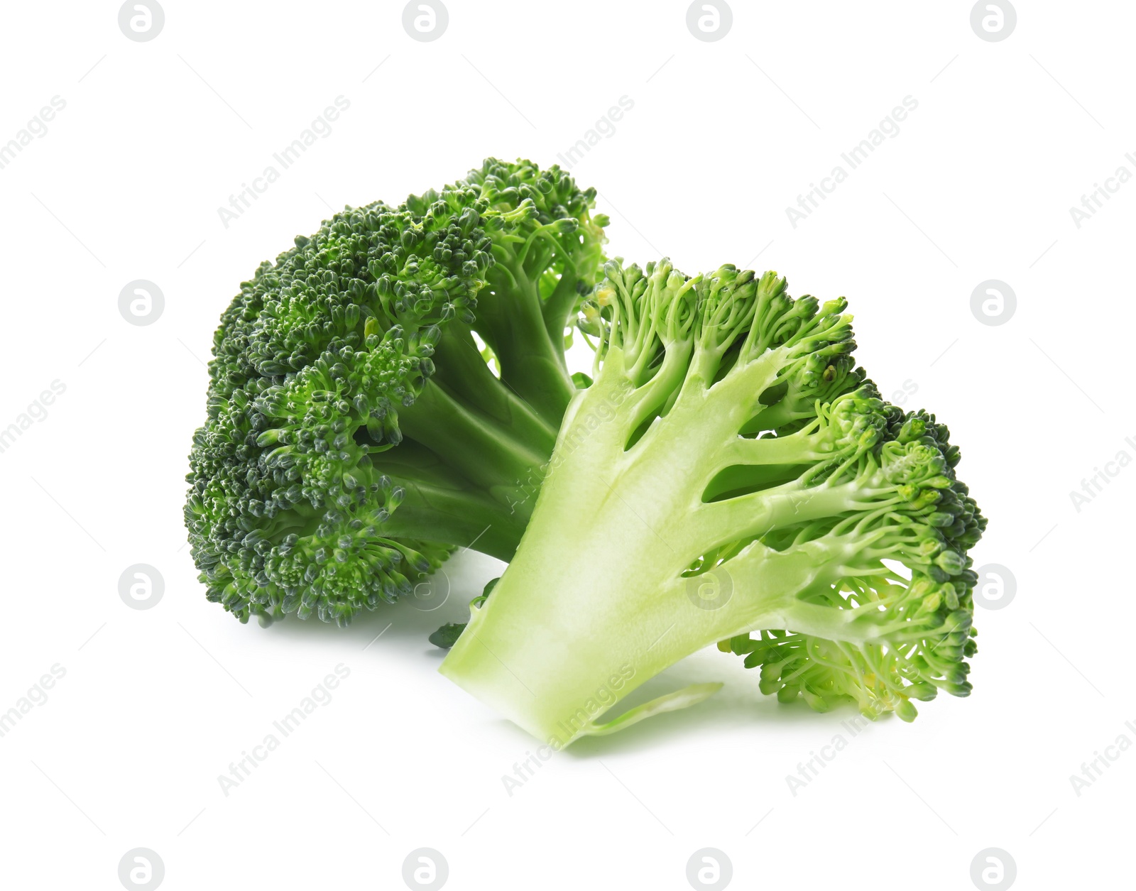 Fresh broccoli isolated on white. Edible green plant Photo of Fresh broccoli isolated on white. Edible green plant