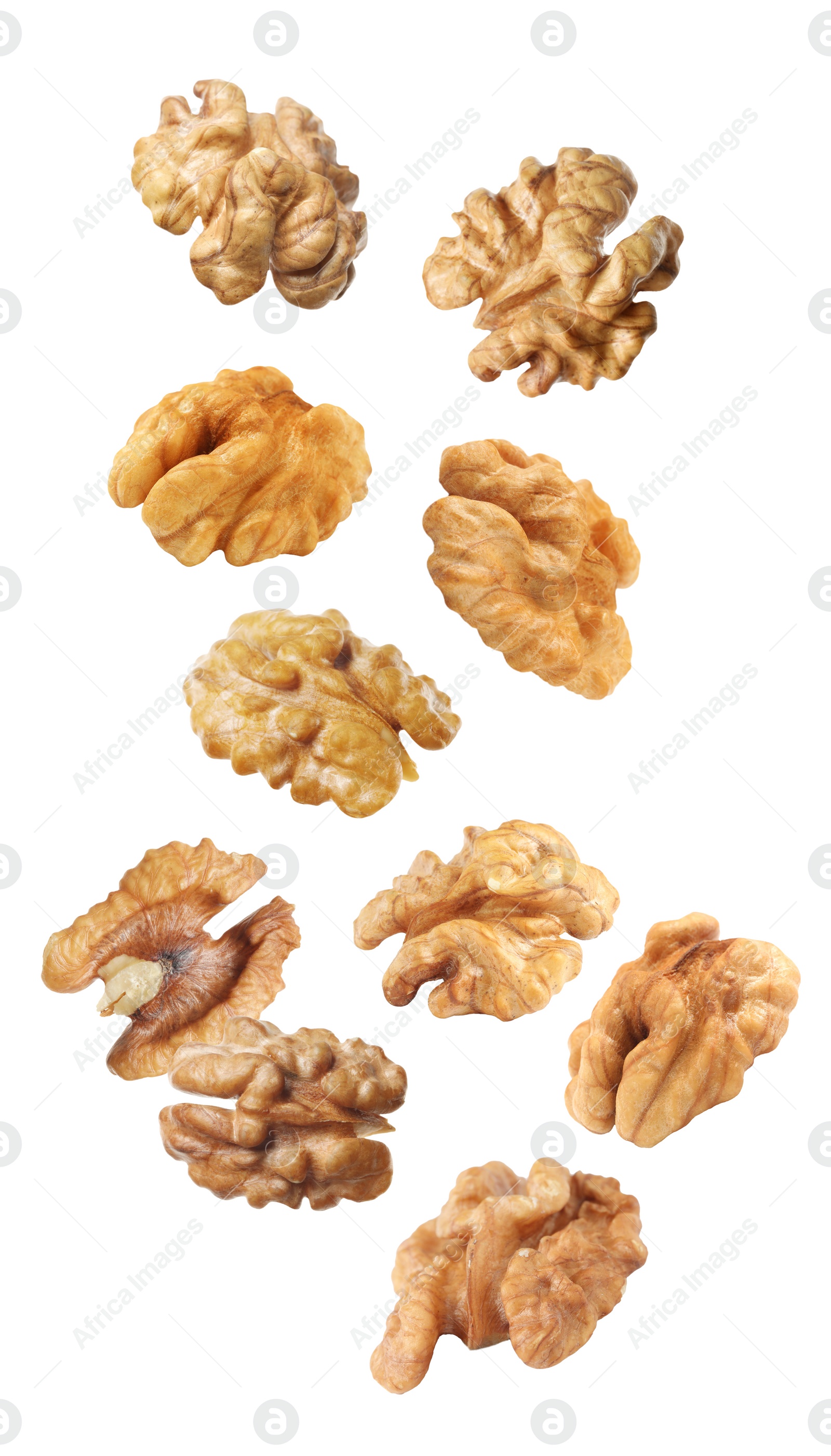 Halves of walnuts falling on white background Image of Halves of walnuts falling on white background