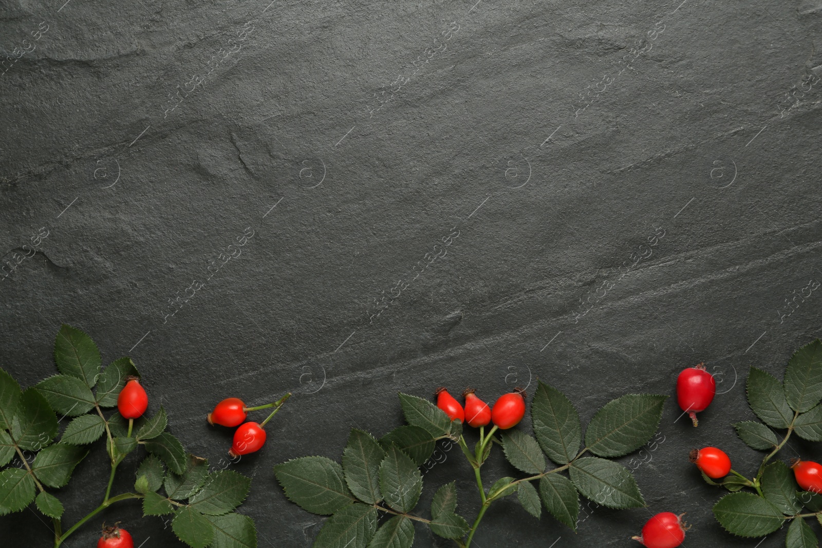 Ripe rose hip berries with green leaves on black table, flat lay. Space for text Photo of Ripe rose hip berries with green leaves on black table, flat lay. Space for text