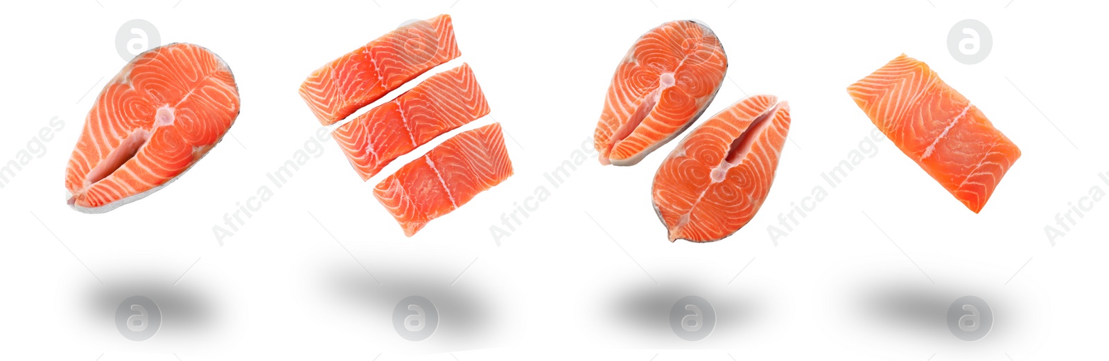 Set of fresh raw salmon on white background. Fish delicacy Image of Set of fresh raw salmon on white background. Fish delicacy