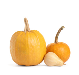 Photo of Fresh ripe pumpkins isolated on white background. Autumn season