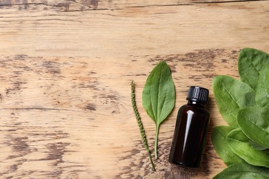 Bottle of broadleaf plantain extract and leaves on wooden table, flat lay. Space for text Photo of Bottle of broadleaf plantain extract and leaves on wooden table, flat lay. Space for text