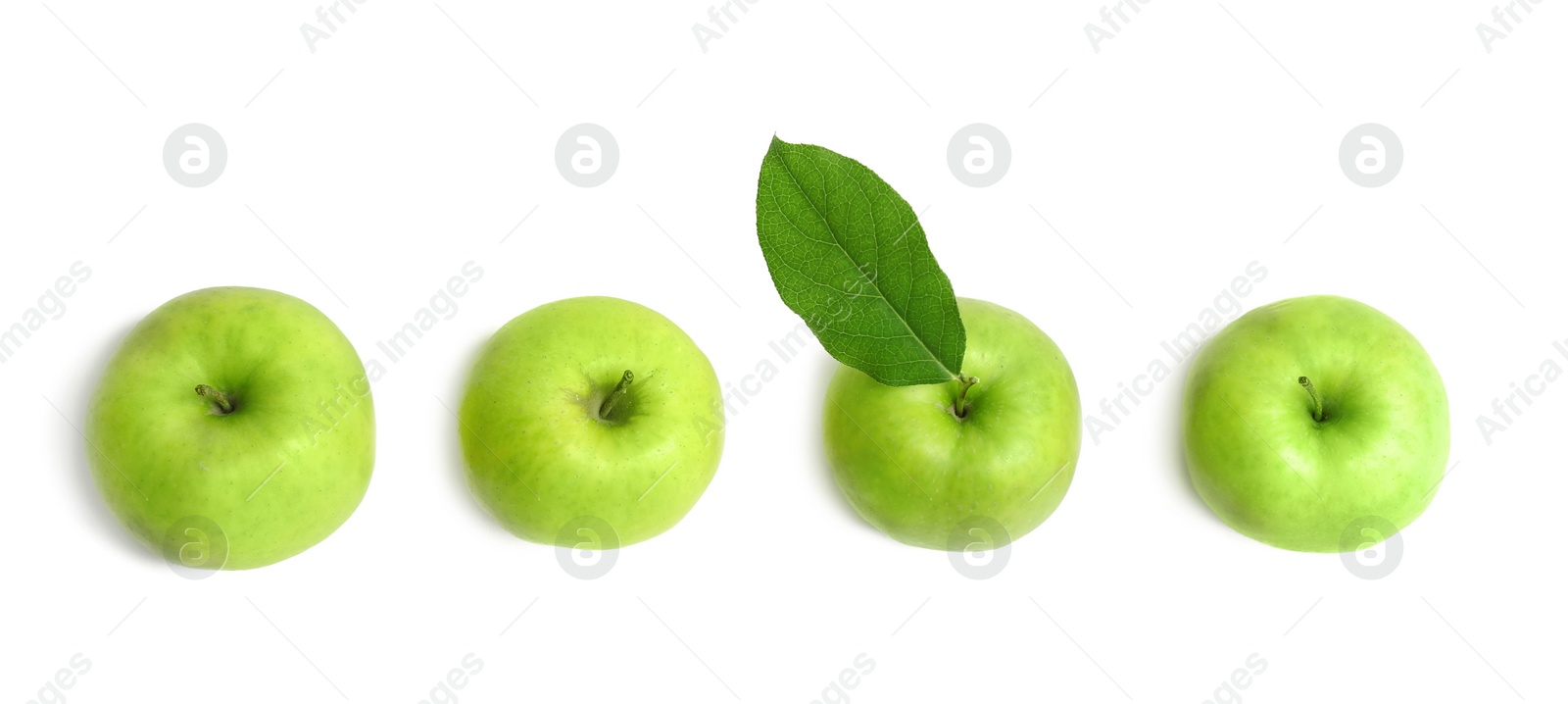 Fresh green apples on white background, top view Photo of Fresh green apples on white background, top view