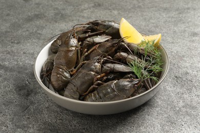 Fresh raw crayfishes with lemon and dill on grey table Photo of Fresh raw crayfishes with lemon and dill on grey table