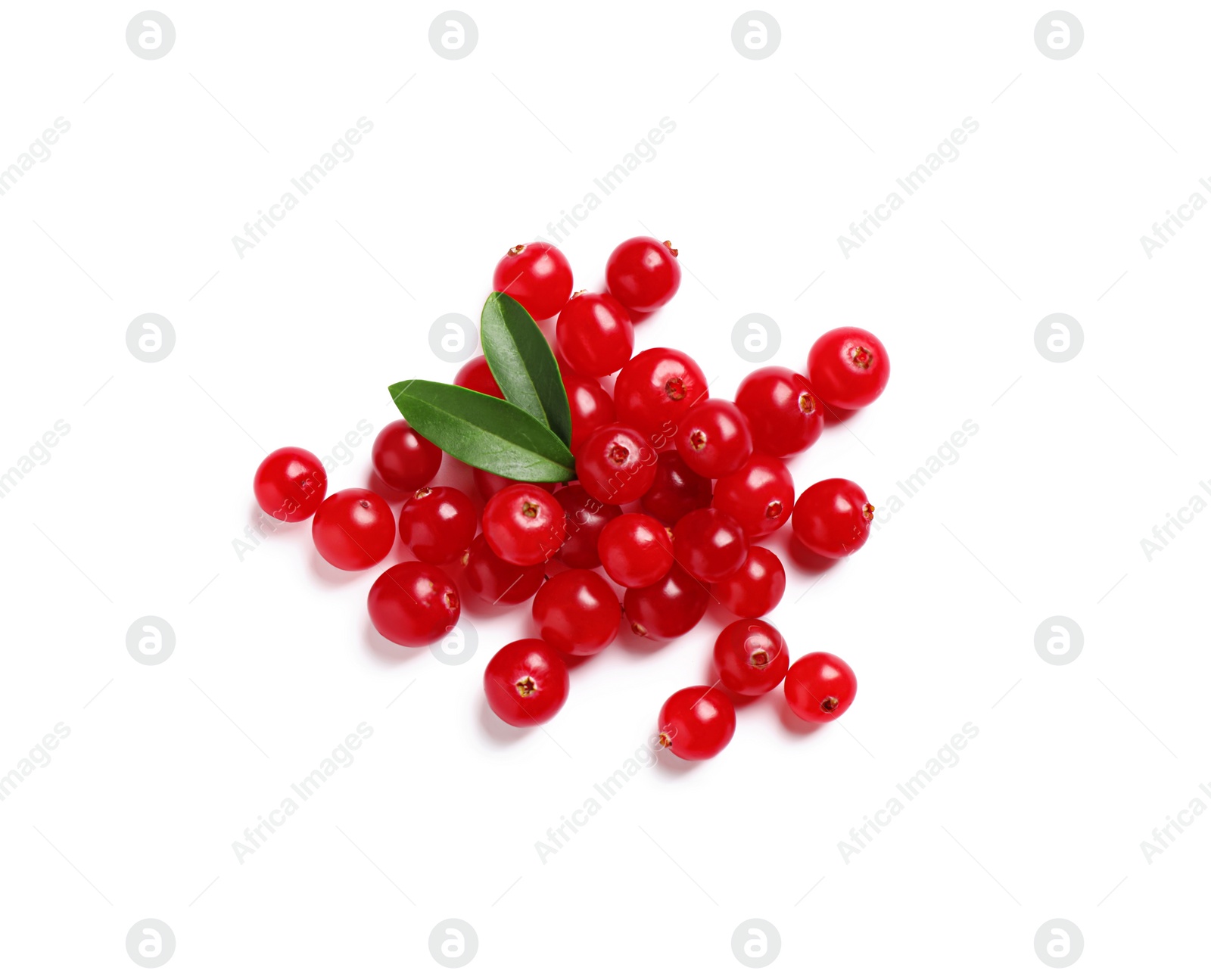 Pile of fresh cranberries with green leaves on white background, top view Photo of Pile of fresh cranberries with green leaves on white background, top view