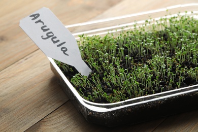 Young sprouts and card with word Arugula on wooden table, closeup Photo of Young sprouts and card with word Arugula on wooden table, closeup