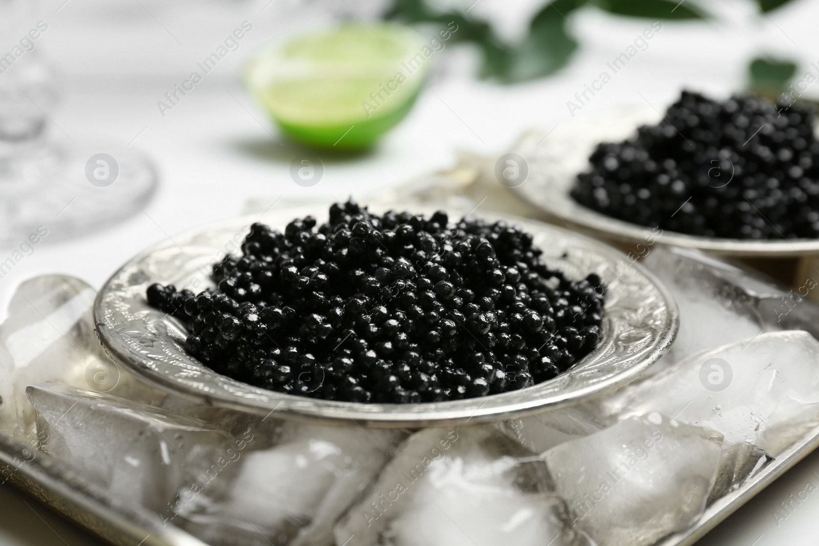 Plate with black caviar served with ice cubes on metal tray Photo of Plate with black caviar served with ice cubes on metal tray