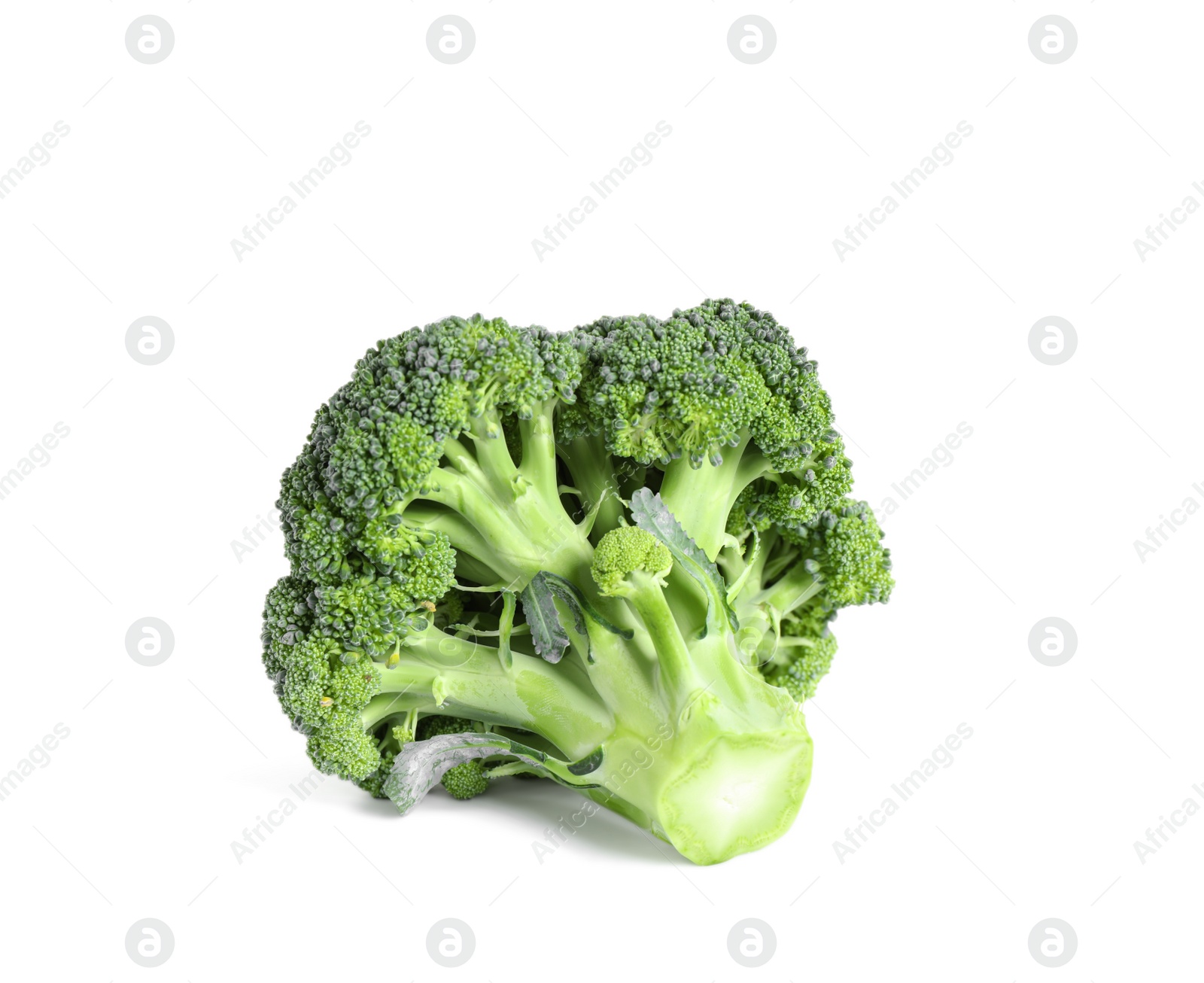Fresh green raw broccoli on white background Photo of Fresh green raw broccoli on white background