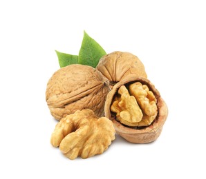 Tasty walnuts and green leaves on white background Image of Tasty walnuts and green leaves on white background