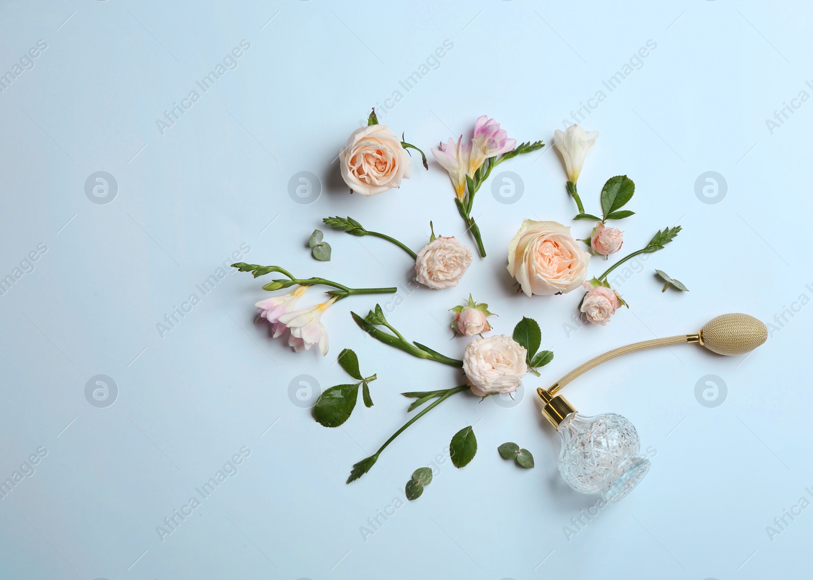 Beautiful composition with bottle of perfume and flowers on white background, flat lay. Space for text Photo of Beautiful composition with bottle of perfume and flowers on white background, flat lay. Space for text