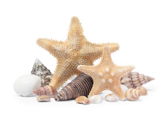 Beautiful sea stars and seashells on white background Photo of Beautiful sea stars and seashells on white background