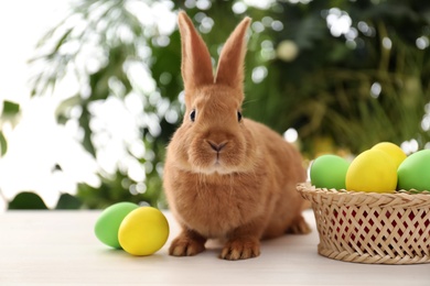 Cute bunny and basket with Easter eggs on table against blurred background Photo of Cute bunny and basket with Easter eggs on table against blurred background