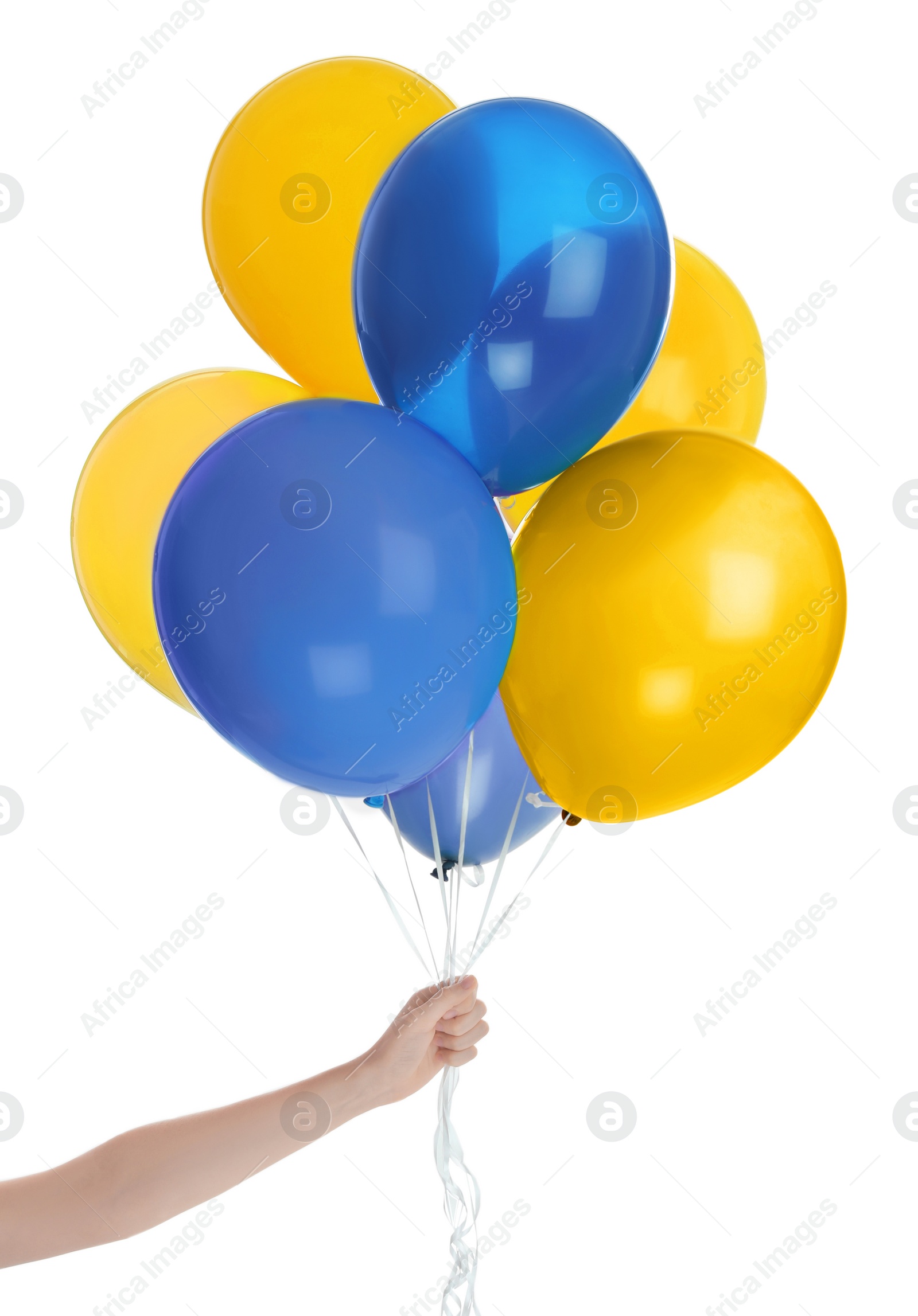 Woman holding many balloons in colors of Ukrainian flag on white background, closeup Image of Woman holding many balloons in colors of Ukrainian flag on white background, closeup