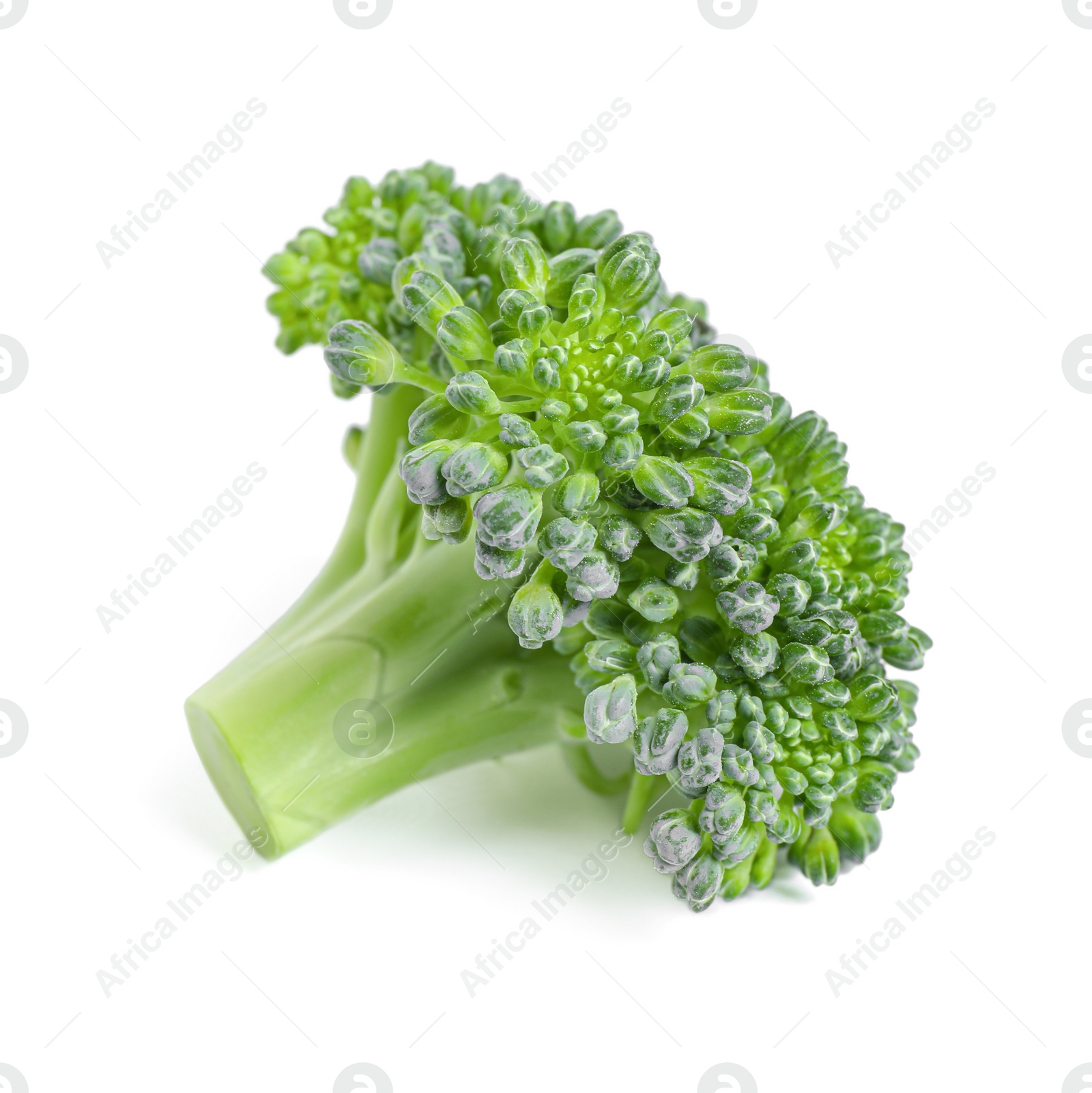 Fresh green raw broccoli on white background Photo of Fresh green raw broccoli on white background