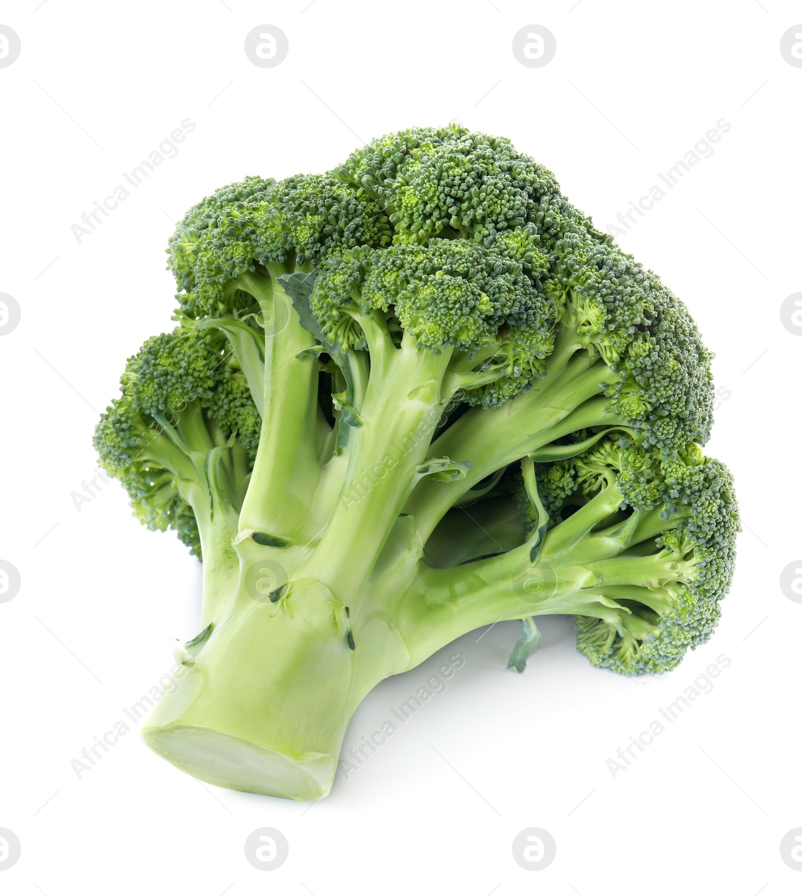 Photo of Fresh broccoli isolated on white. Edible green plant