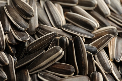 Raw sunflower seeds as background, closeup view Photo of Raw sunflower seeds as background, closeup view