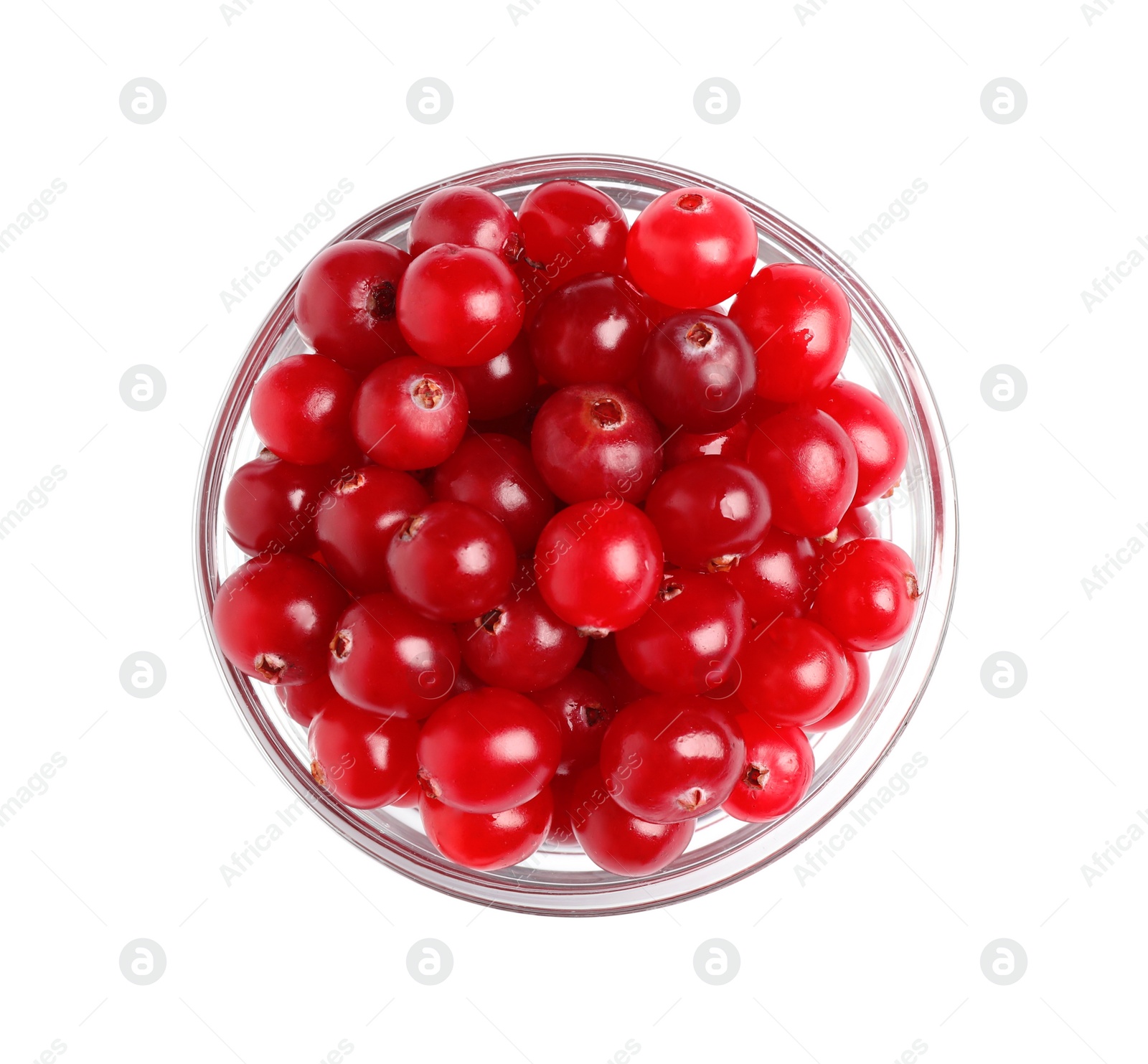 Fresh ripe cranberries in bowl isolated on white, top view Photo of Fresh ripe cranberries in bowl isolated on white, top view