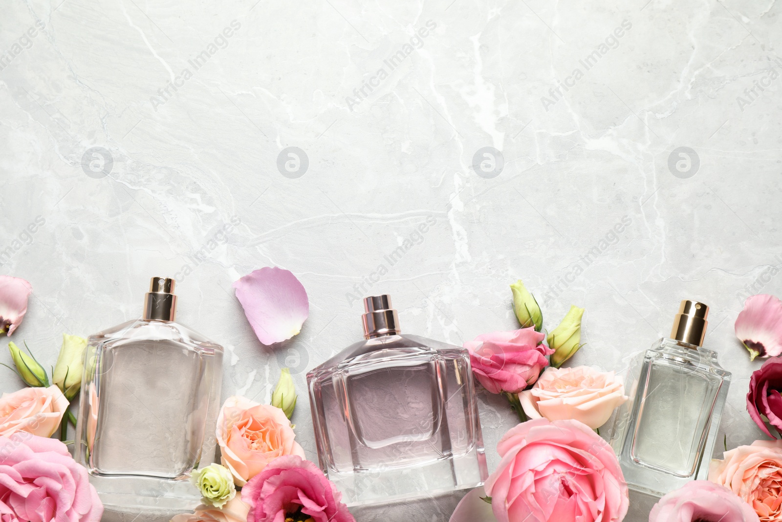 Photo of Flat lay composition of different perfume bottles and flowers on light grey marble background, space for text