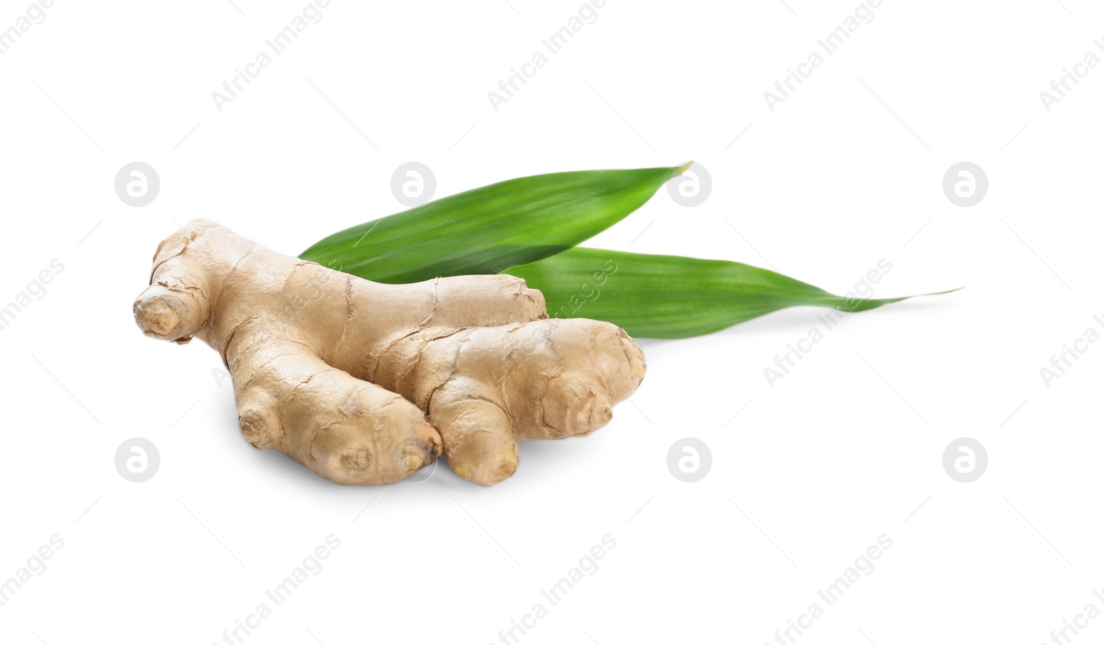 Whole fresh ginger and leaves on white background Photo of Whole fresh ginger and leaves on white background