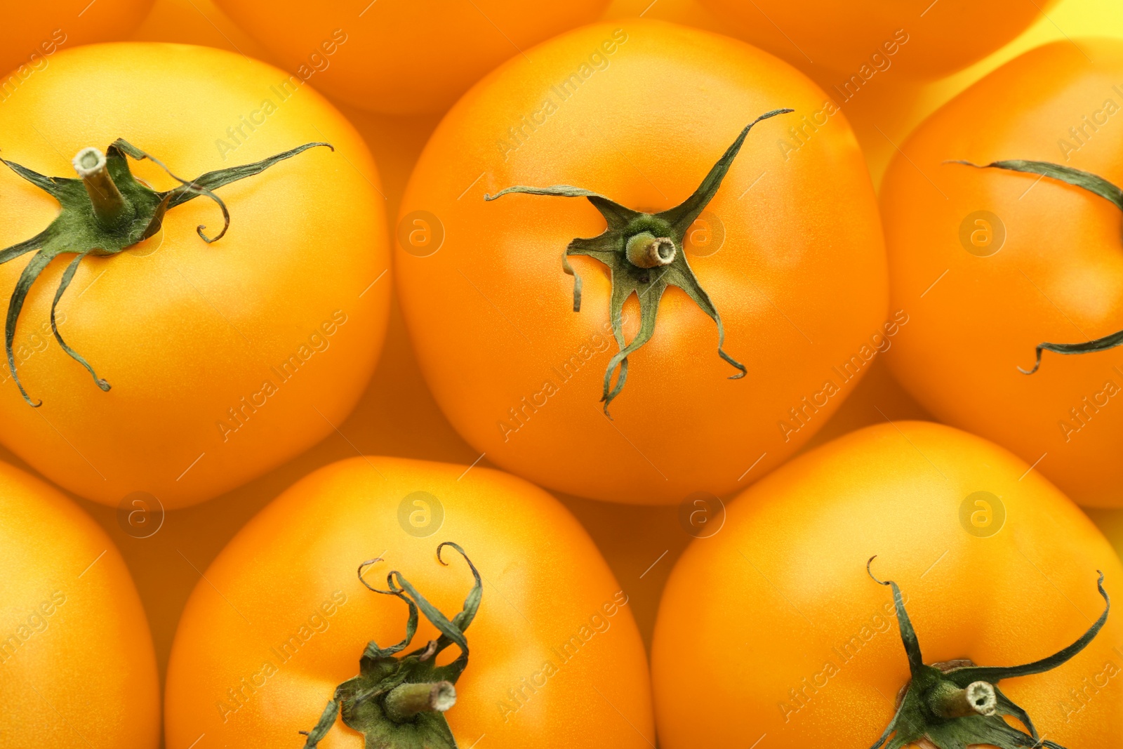 Delicious ripe yellow tomatoes as background, closeup Photo of Delicious ripe yellow tomatoes as background, closeup