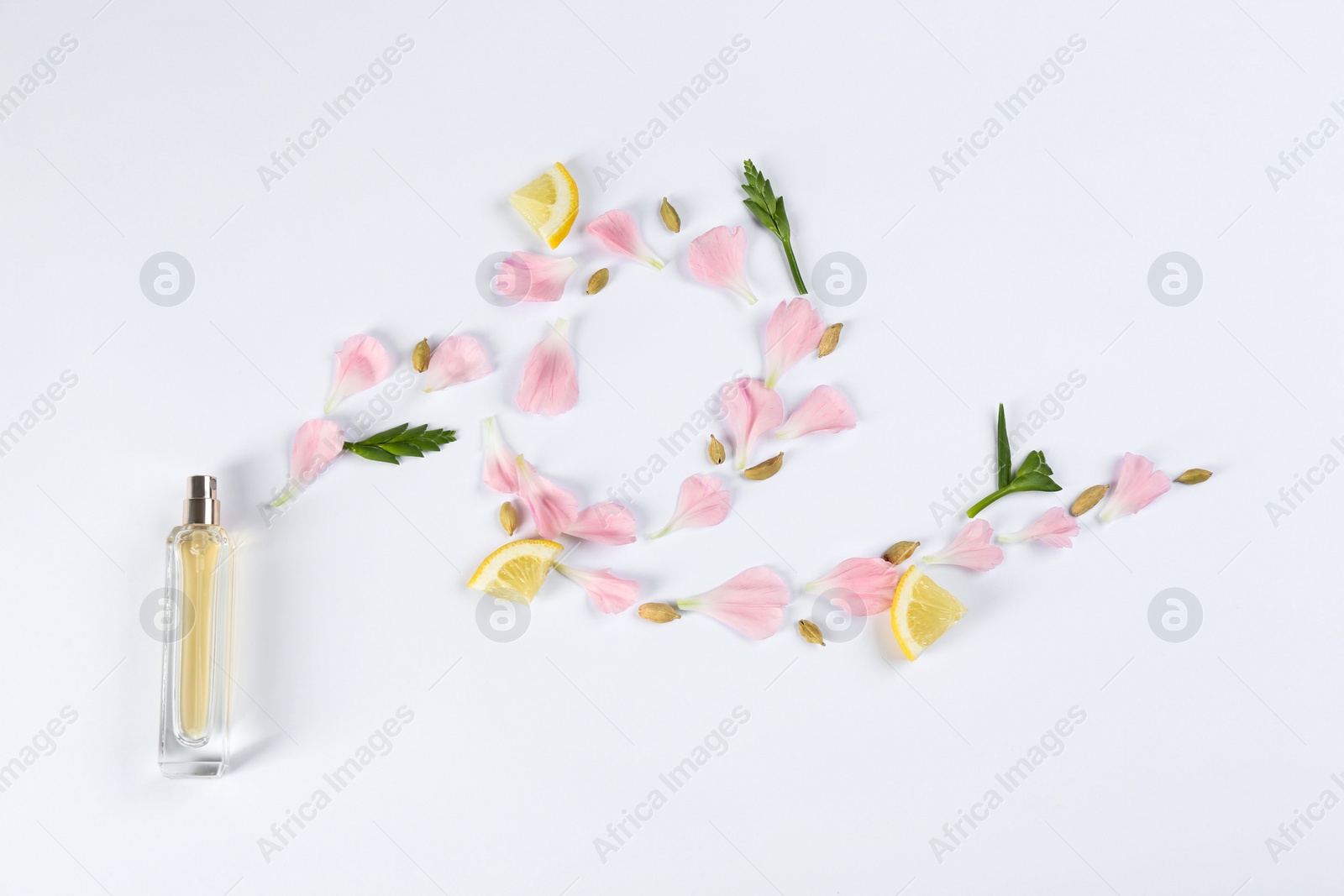 Flat lay composition with bottle of perfume on white background Photo of Flat lay composition with bottle of perfume on white background