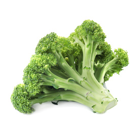 Fresh broccoli isolated on white. Edible green plant Photo of Fresh broccoli isolated on white. Edible green plant