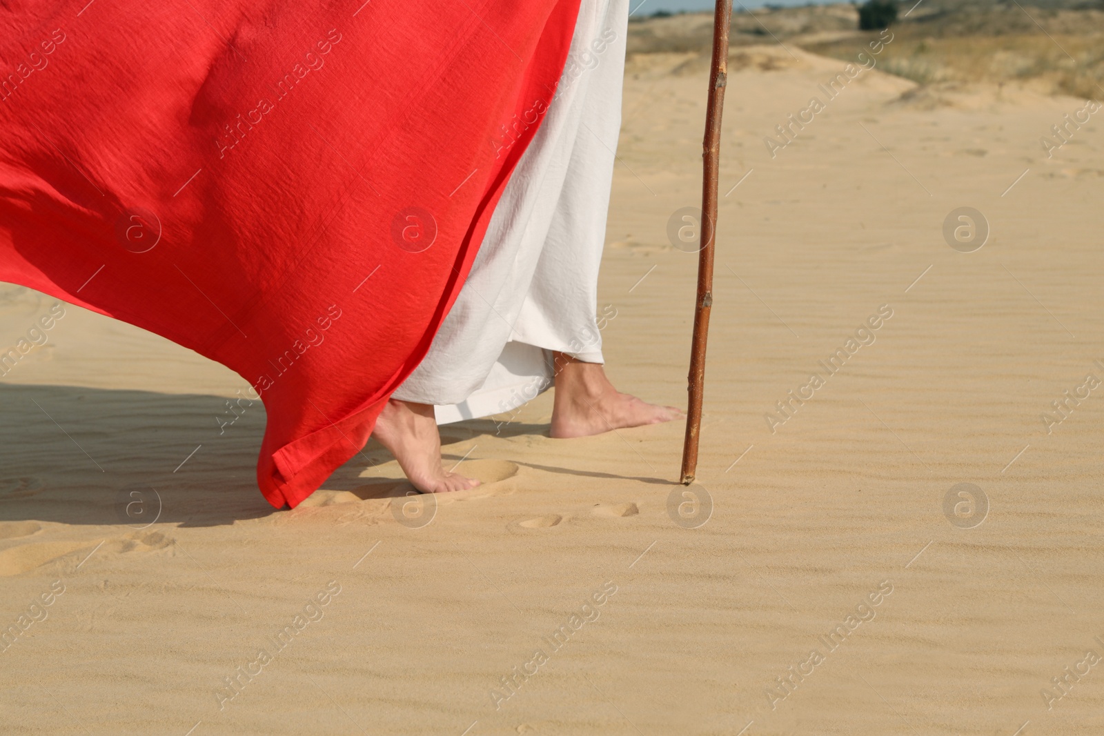 Photo of Jesus Christ walking in desert, closeup view