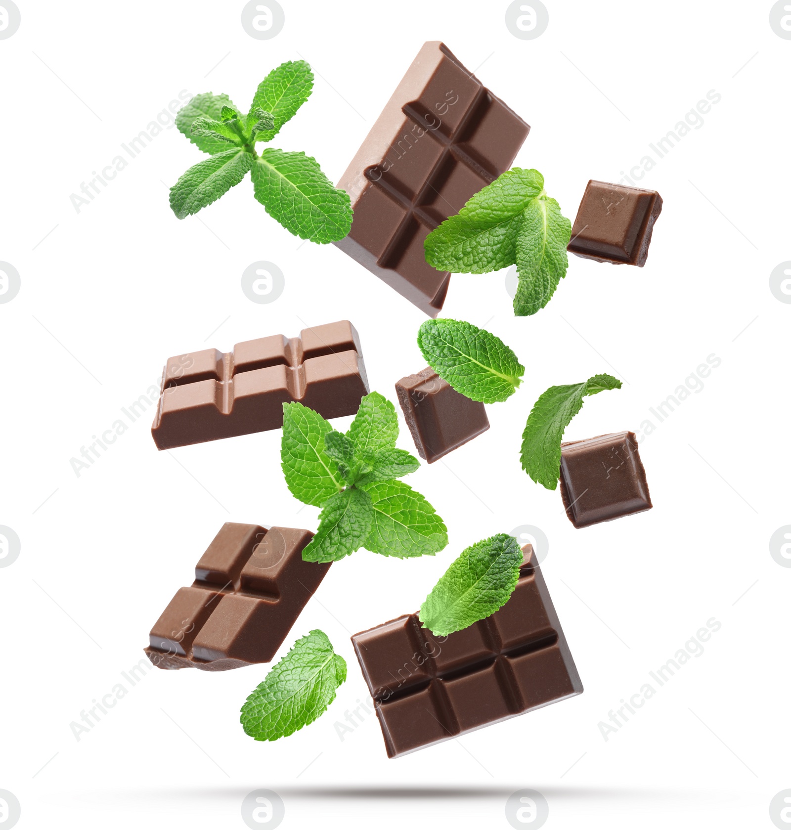 Milk chocolate pieces and mint falling on white background Image of Milk chocolate pieces and mint falling on white background