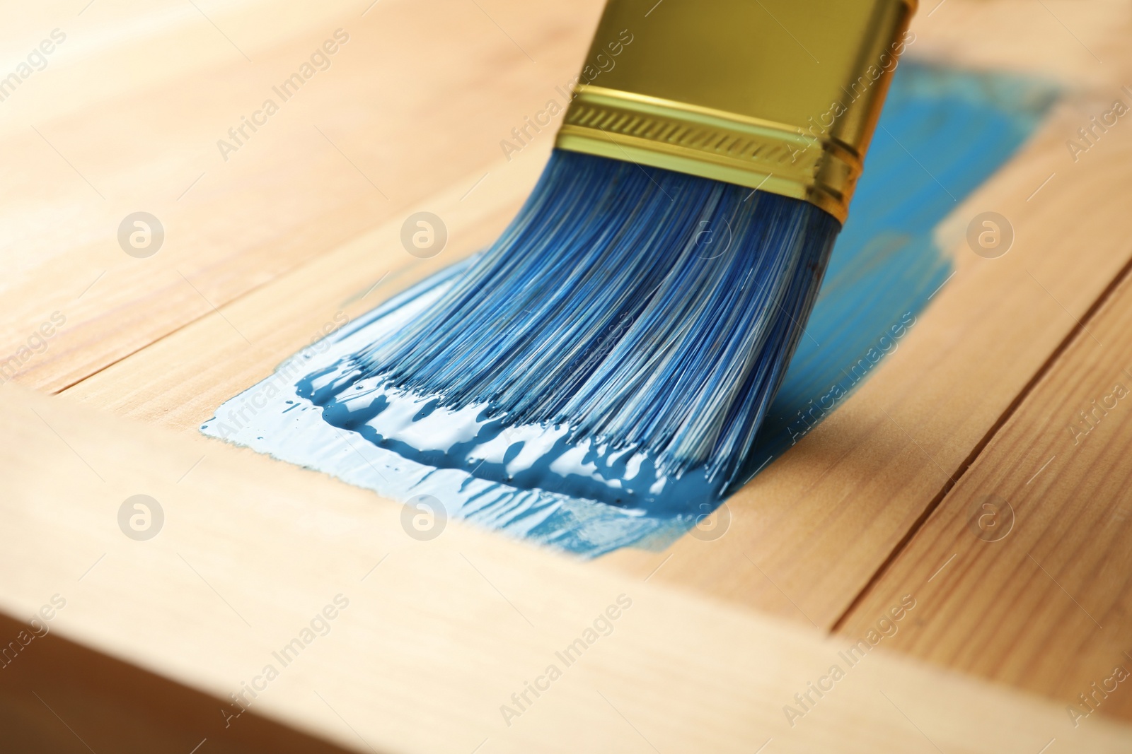 Applying blue paint onto wooden surface, closeup Photo of Applying blue paint onto wooden surface, closeup